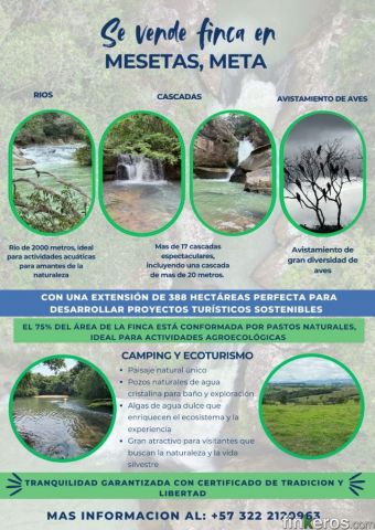 BUENOS AIRES VEREDA LA REFORMA - Finca en Mesetas, Meta